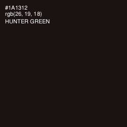 #1A1312 - Hunter Green Color Image